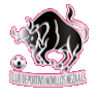 https://img.bjfeikaiwa58.com/img/football/team/97c3ef30cac48cadff97605e387feefa.png