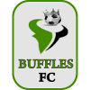 https://img.bjfeikaiwa58.com/img/football/team/ec5e8819f361ae0c722c0364c0d2cc51.png